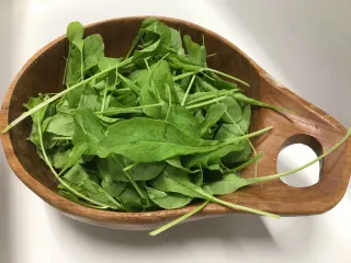 Arugula