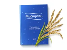Интерфейс оптовых закупок для компании «Мистраль»