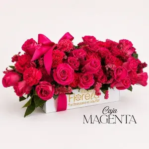 Caja de 24 rosas y claveles – Magenta
