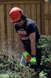 Experienced arborist performing tree care in Durham Region