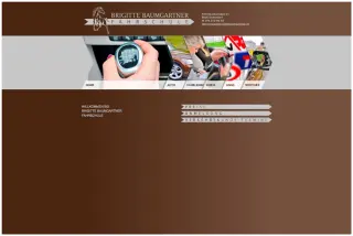 Website Fahrschule Brigitte Baumgartner