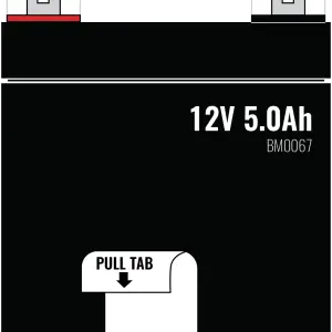 BM0067: Replacement Battery