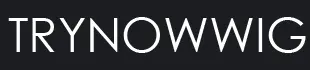 Try Now Inc logo