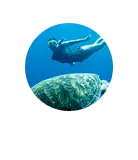 Edu program