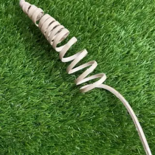 Dried cone on very long stem