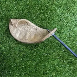 Dried gold elephant ear on very long stem
