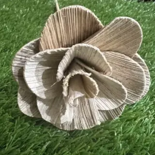 Dried coco rose on very long stem
