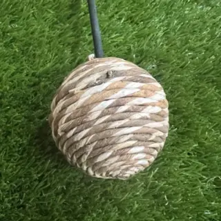 Dried rope ball on very long stem