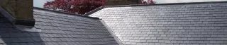 Pitched roofing services with slate tiles from Proctor Roofing