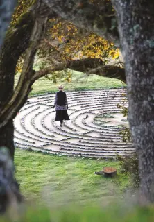 Ions labyrinth lars