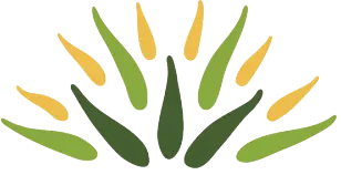City Plants, LLC logo