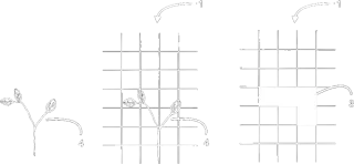 Patent drawing: imaging system sampling a plant's visual change on a grid