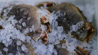 Seafood restaurant