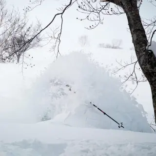 Japan: Tohoku Tour