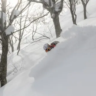 Japan: Aomori Express