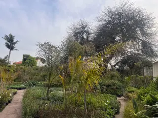 VisitÃ¡ JardÃ­n El Ceibo en Rosario.