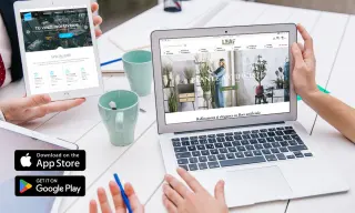 Web design Cluj Softimpera - Creare Site-uri Web