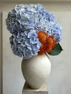 Bouquet Nuage bleu, signature nutens