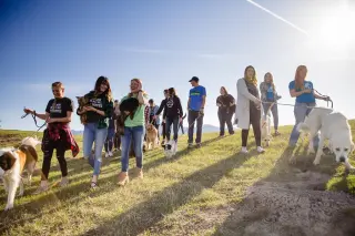 A group of people walking their dogs on a grassy Montana hillside