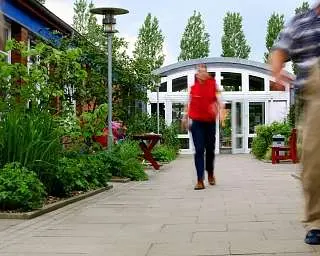 Menschen gehen auf einem gepflasterten Weg in einem Garten.