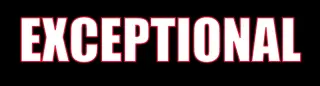 EXCEPTIONAL MOVING & MORE logo