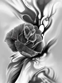 Rose Aura