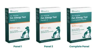 Pet Allergy Test