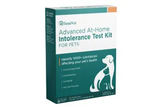 Cat Intolerance Test