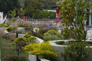 Jardinera de hormigón con agapantos y gauras en el Outlet Viña del Mar