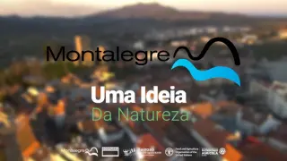 Montalegre, uma ideia da Natureza