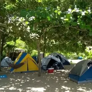 Feriado Finados 2026