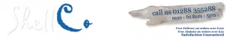 Shell Craft Studio - Bude logo