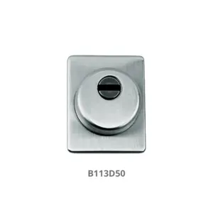 B113