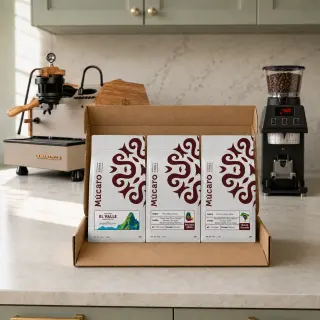 Single Origin Discovery Bundle - 3 Pack