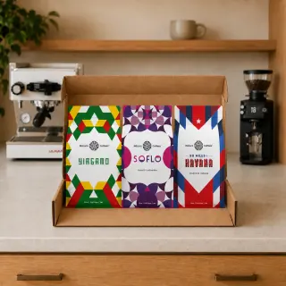 The Foundation Bundle - 3 Pack