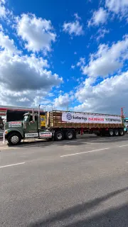 Tractomula con llantas Samson y Townhall distribuidas por Surllantas
