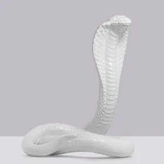 OSCAR – Statua Cobra