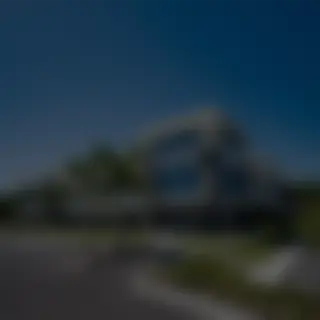 Microlumen about blur