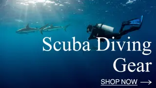 A scuba diver looks at a school of sharks