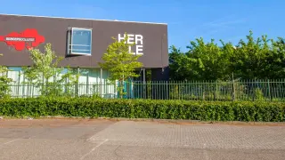 Herle still